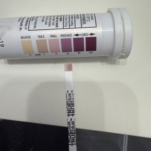 IMG_0173.jpeg