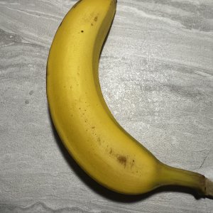 IMG_1564.jpeg