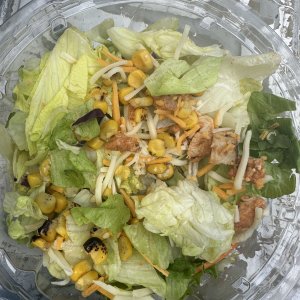 IMG_2702.jpeg