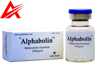 Alphabolin (Methenolone Enanthate 100mg/ml) 10ml Multi-Dose Vial - Alpha Pharma