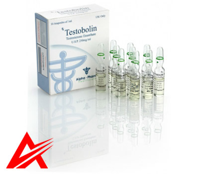 Buy original Alpha Pharma Testobolin 10amps 250mg/ml
