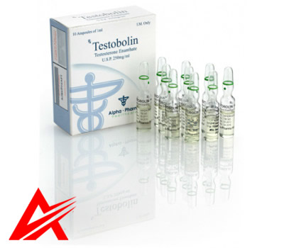 Buy original Alpha Pharma Testobolin 10amps 250mg/ml