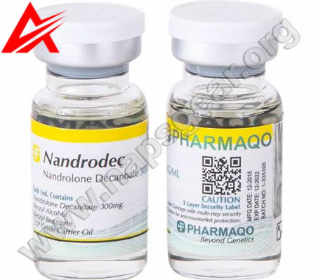 Nandrodec