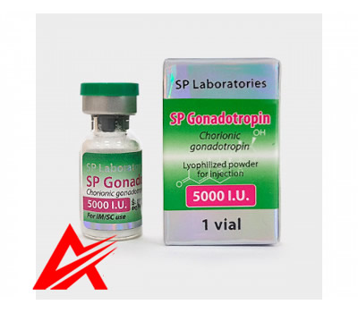 SP Laboratories HCG 5000iu (Human Chorionic Gonadotropin)