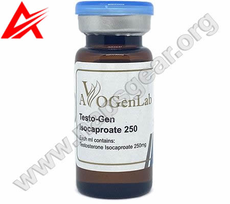 Testo Gen Isocaproate 250